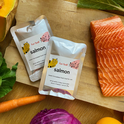 Pair of meal pack titled salmon, with a piece of salmon meat lying next to it, all on a flat wooden chopping board