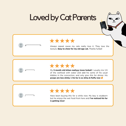 Organic Chicken Wet Food (Box Edition / 85g x 16 packs)