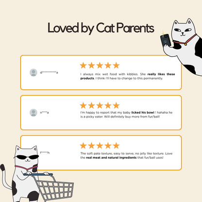 Chicken Wet Food (Box Edition - 12 x 85g pouches)