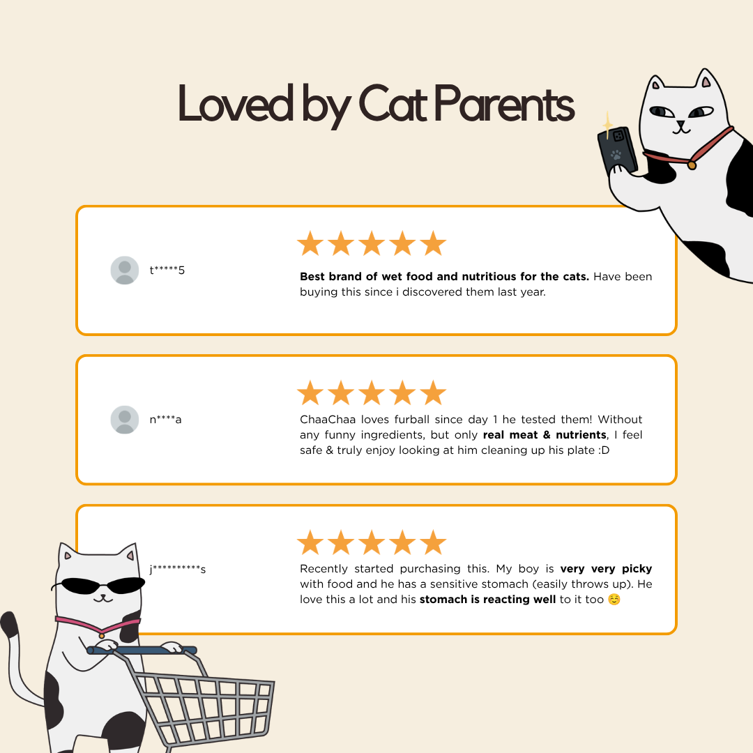 Chicken Wet Food (Box Edition - 12 x 85g pouches)