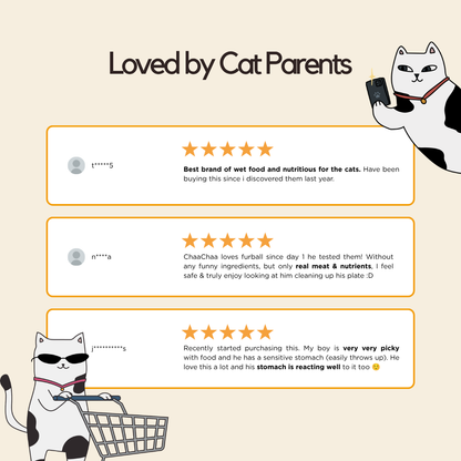 Chicken Wet Food (Box Edition - 12 x 85g pouches)
