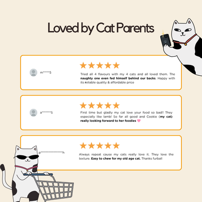 Chicken Wet Food (Box Edition - 12 x 85g pouches)