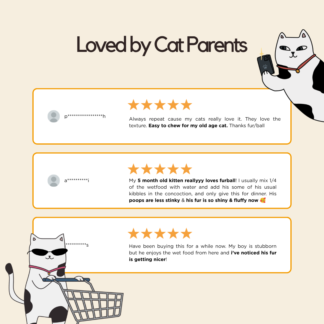 Chicken Wet Food (Box Edition - 12 x 85g pouches)