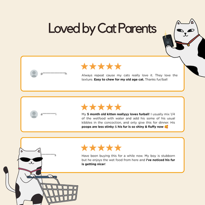 Chicken Wet Food (Box Edition - 12 x 85g pouches)