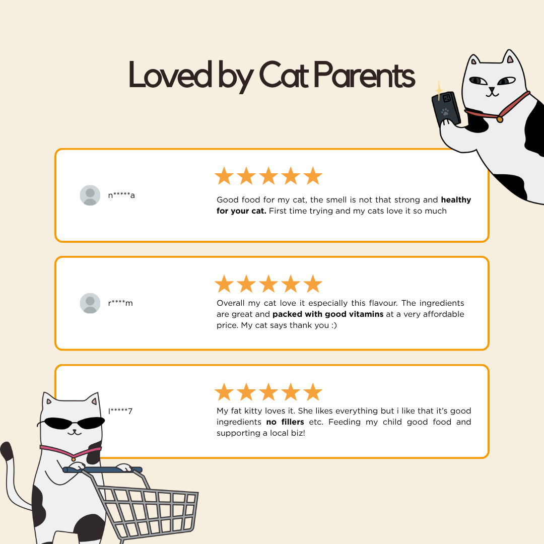 Chicken Wet Food (Box Edition - 12 x 85g pouches)