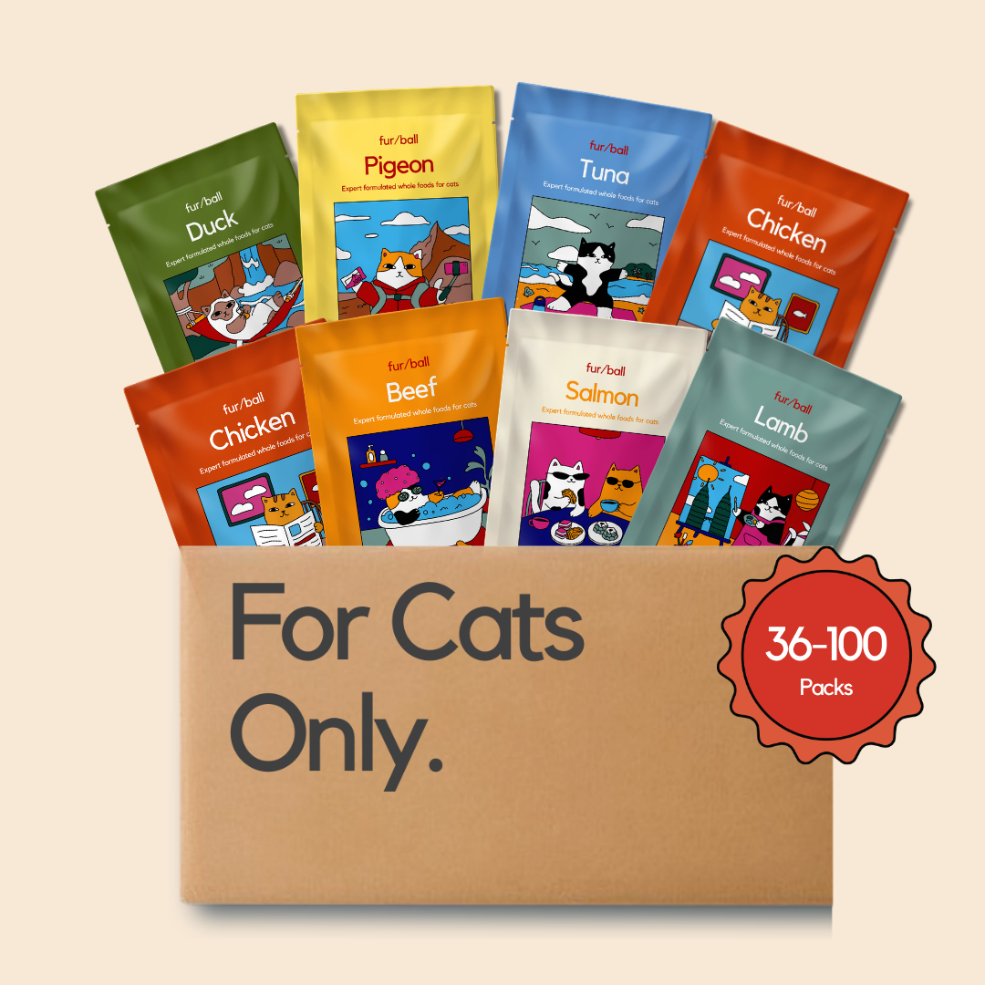 Wet Food Stock-Up Bundle (36-100 packs)