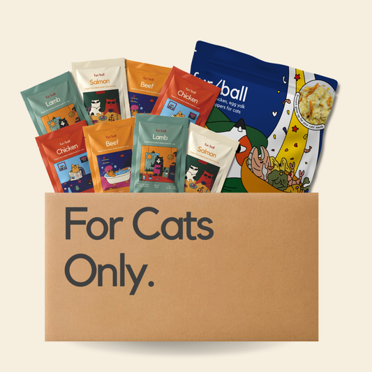 New Cat Parent Kit - Wet Food & Topper