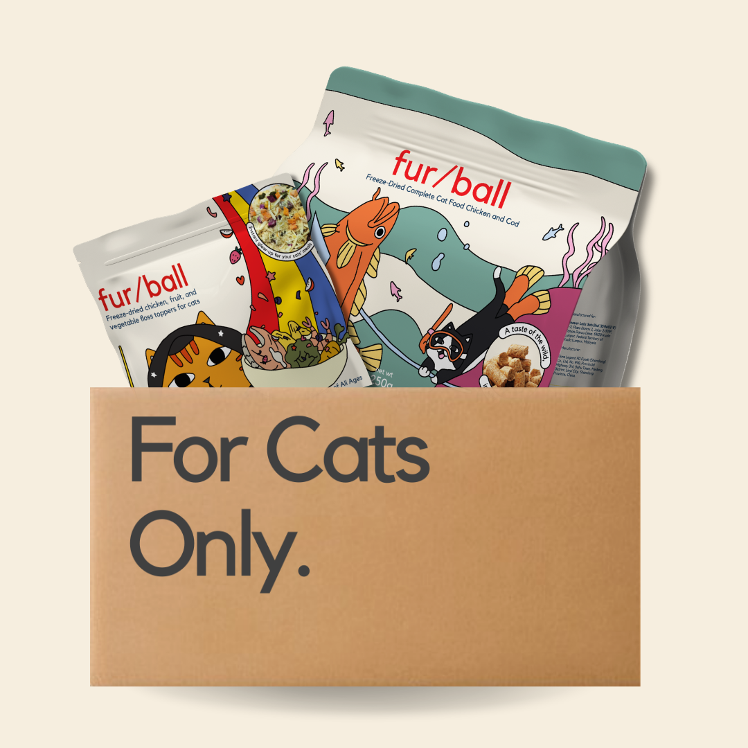 Weight Management Protein Cod Kibbles & Topper