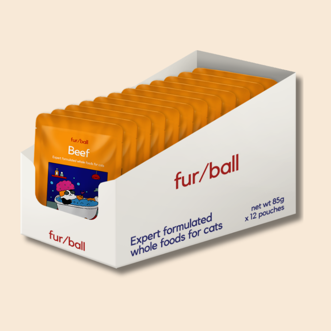 Beef Wet Food (Box Edition - 12 x 85g pouches)