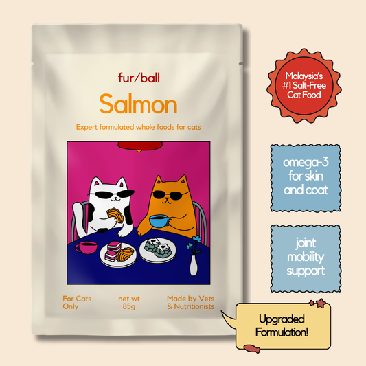 Salmon Wet Food (Box Edition - 12 x 85g pouches)