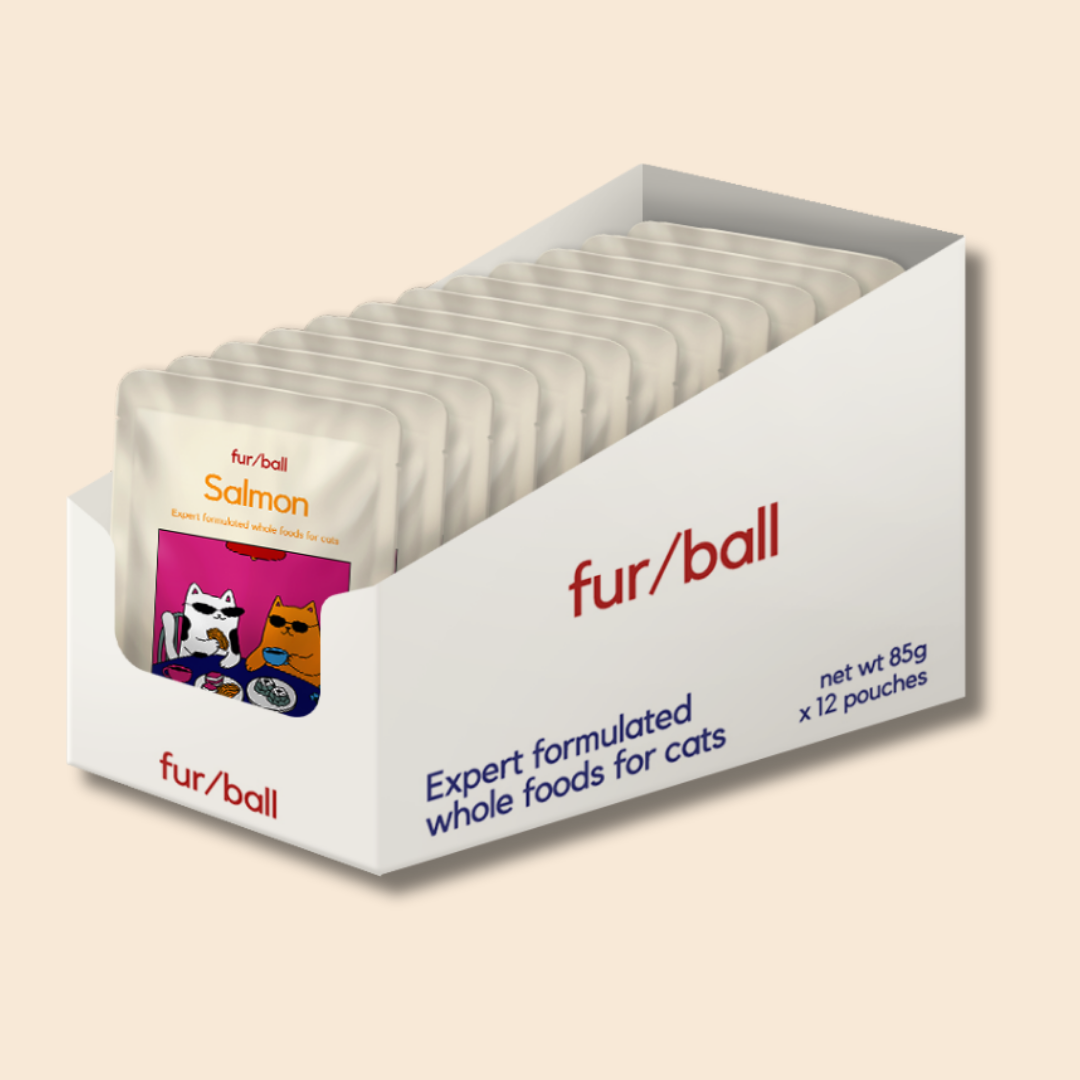 Salmon Wet Food (Box Edition - 12 x 85g pouches)