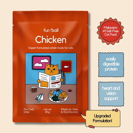 Chicken Wet Food (Box Edition - 12 x 85g pouches)