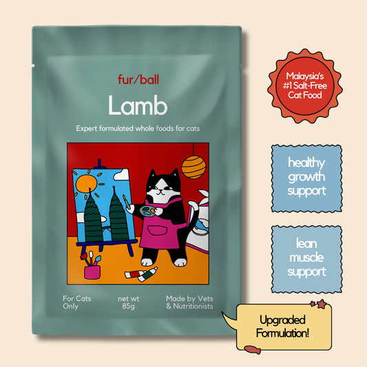 Lamb Wet Food (Box Edition - 12 x 85g pouches)