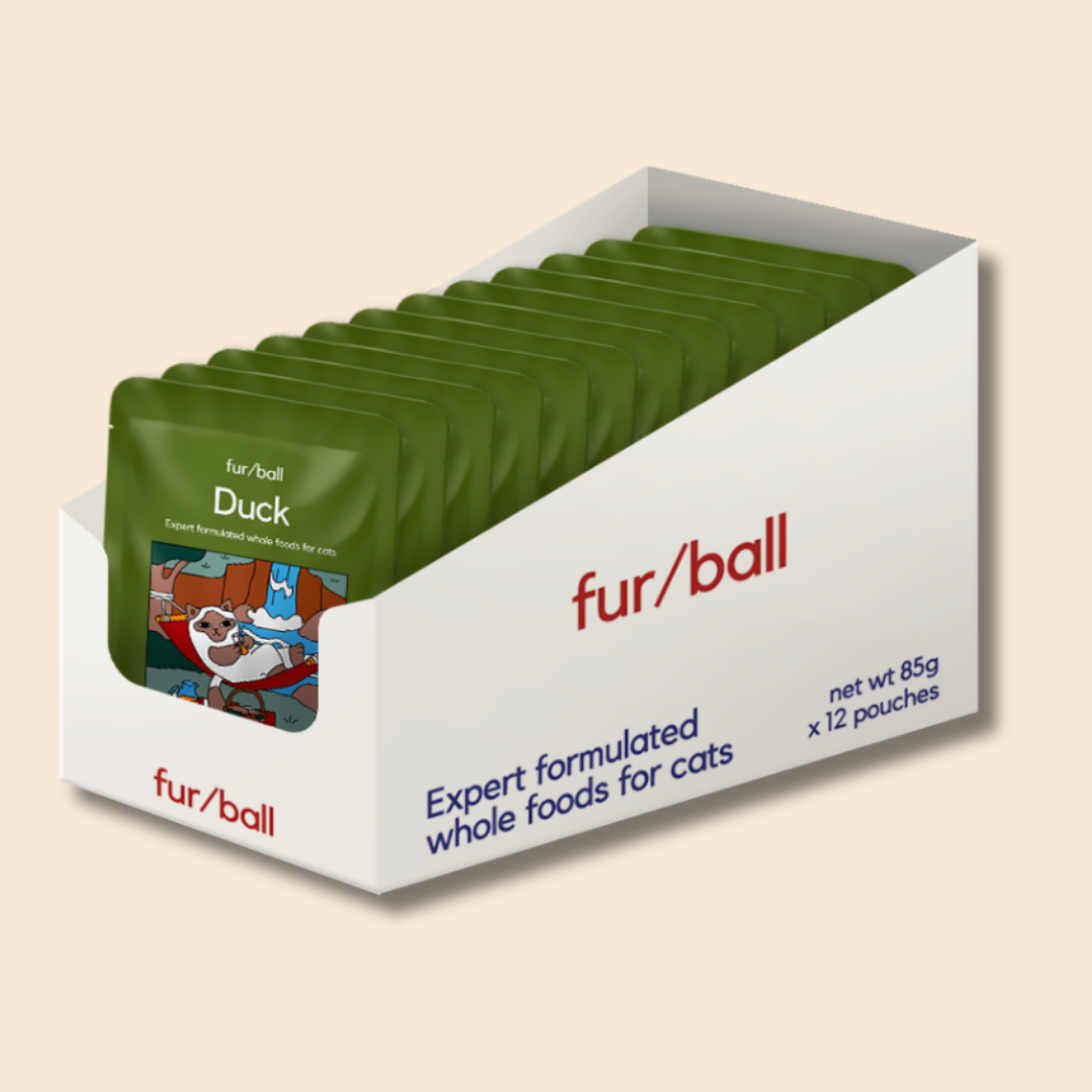 Duck Wet Food (Box Edition - 12 x 85g pouches)