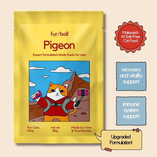Pigeon Wet Food (Box Edition - 12 x 85g pouches)