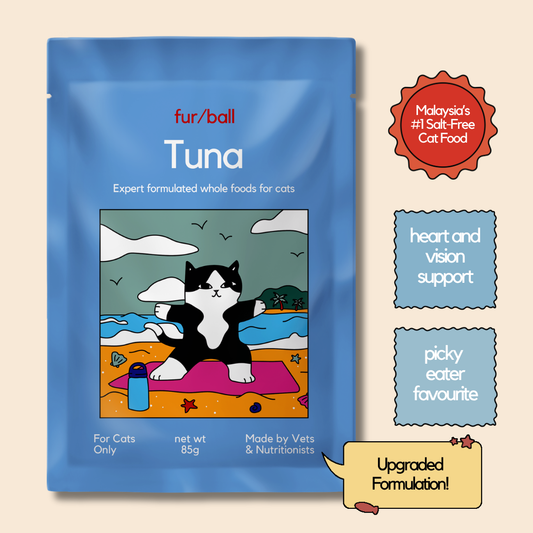 Tuna Wet Food (Box Edition - 12 x 85g pouches)