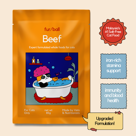 Beef Wet Food (Box Edition - 12 x 85g pouches)