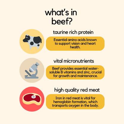 Beef Wet Cat Food - No More Cat Vomiting Food - What's In Beef Pack Infographic