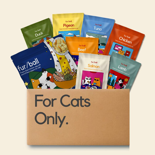 New Cat Parent Kit - Wet Food & Topper